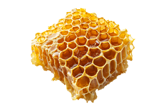 honey comb isolated on transparent background