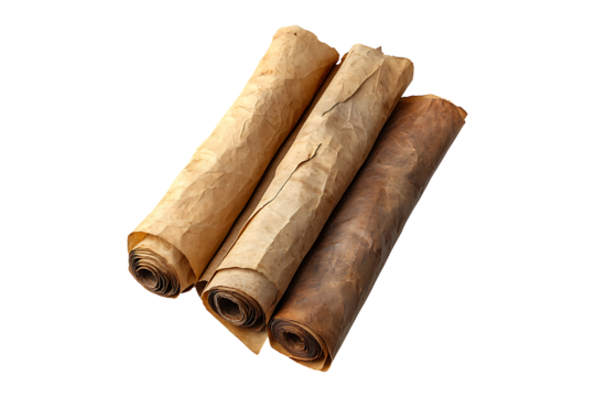 Old paper parchment scrolls isolated on transparent background