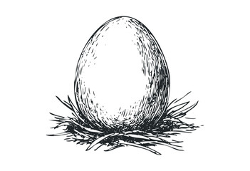 Detailed illustration of a bird egg in a nest with grass elements. Vector retro hand drawn illustration