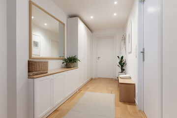 White modern hallway with subtle decor and warm natural wood tones
