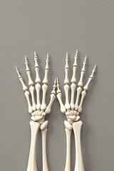Skeleton hands in a close-up shot on a solid background, ready for text overlay. The fingers are spread slightly apart