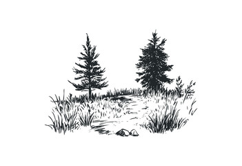 Fototapeta premium Hand-drawn forest scene with pine trees and grass on a white background. Vector retro hand drawn illustration