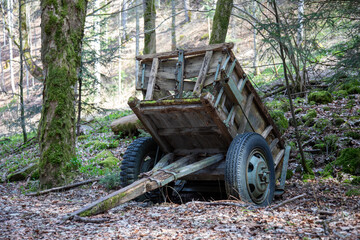 Alter Holzwagen im Wald