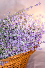 Fototapeta premium Basket with lavender flowers. Aromatherapy