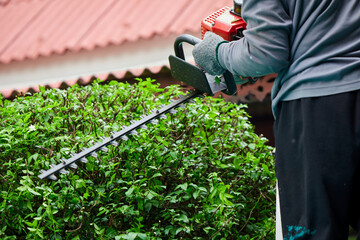 Gardener pruning trees outdoors