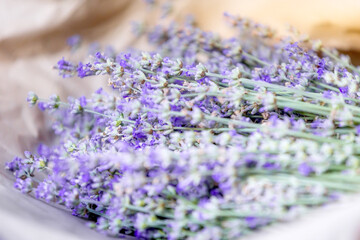 Obraz premium Fresh lavender wrapped in a sheet of paper