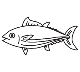 カツオの手描きイラスト