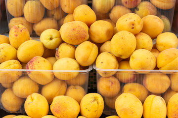 Fresh Apricots on a Market Stall. A Vibrant Display of Apricots Celebrating Bounty of Nature. The Essence of Summer. Juicy Apricots Evoking Joy and Abundance.