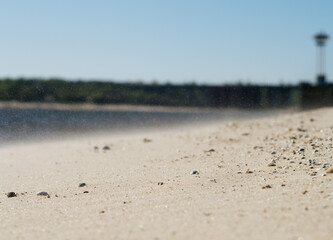 Sand grains blown by a strong wind on a shell-sand beach