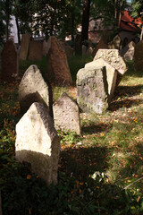 Tombstones of the old Jewish cemetery in Josefov, Prague, Czech Republic