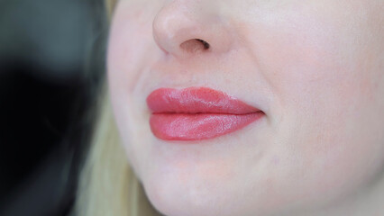 Close-up of lips with permanent makeup tattoo. Detailed view of healed permanent makeup on lips,...