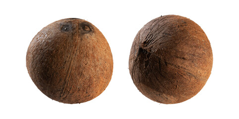 Two whole coconuts isolated on white background
