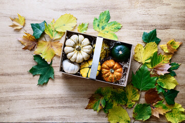 Wicker basket with pumpkin harvest on a wooden antique table. Thanksgiving concept