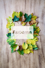 Composition of fallen leaves on a wooden antique table. Concept thanksgiving day, autumn