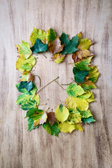 Composition of fallen leaves on a wooden antique table. Concept thanksgiving day, autumn