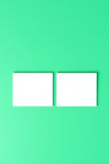 Two blank white business cards on mint green background