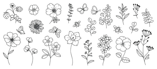 Hand drawn botanical flower line art vector set. Collection black white contour drawing of foliage, wildflower, eucalyptus, butterfly, bee. Illustration design for logo, wedding, invitation, decor. 
