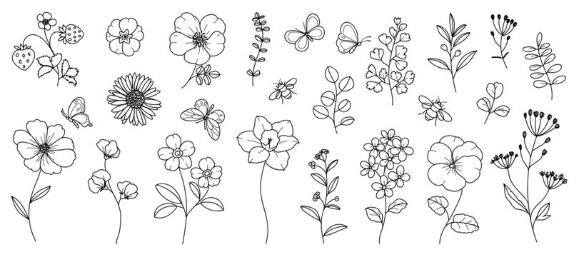 Hand drawn botanical flower line art vector set. Collection black white contour drawing of foliage, wildflower, eucalyptus, butterfly, bee. Illustration design for logo, wedding, invitation, decor. 