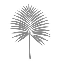 Obraz premium Palm Leave Illustration