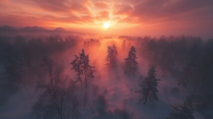 Fototapeta premium Sunrise over a misty forest. A breathtaking aerial view of a winter landscape
