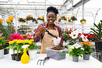 A smiling florist replanting flowers in a greenhouse, surrounded by vibrant plants and gardening...