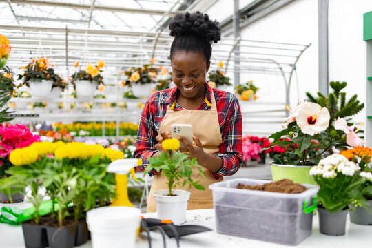 A smiling Black woman in an apron takes a picture of a small plant in a greenhouse, surrounded by flowers and gardening tools.