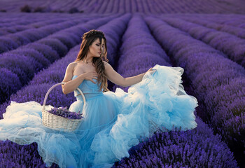 Beautiful young brunette girl with long hair in a beautiful long fluffy blue tulle dress in a...