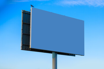 Fototapeta premium Background for design, billboards on city streets and along roads in the summer day