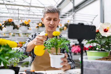 A man in a greenhouse waters a plant while recording a video on his phone.