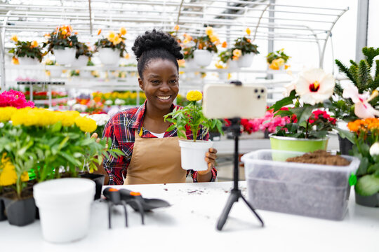 An African American woman in a garden center holds a potted plant while filming a video with a smartphone.