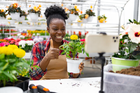 A cheerful Black woman in a greenhouse holds a plant, giving a thumbs-up while recording a video on her phone.