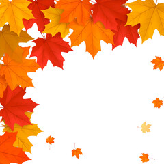 Obraz premium Autumn maple frame with colorful fall leaves border, white background