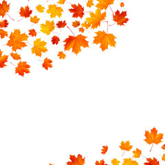 Autumn maple frame with colorful fall leaves border, white background