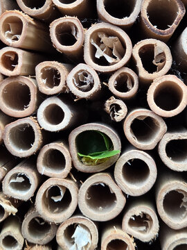 Insektenhotel bewohnt bef&uuml;llt mit Bl&auml;ttern