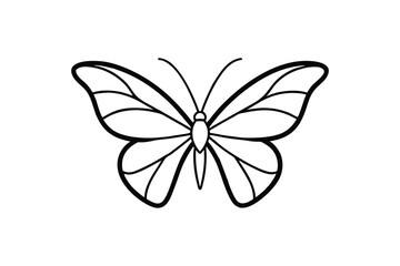 Monarch Butterfly Flying Insect Nature Beauty Line Art