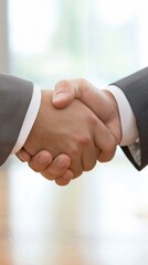 Successful Partnership: Firm Business Handshake Trust, Collaboration, and a Closed Deal in the Corporate World