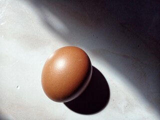 A single egg glows warmly under the gentle light of the morning sun.