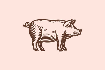 Pig side view, vintage engraving style vector illustration. logo, icon

