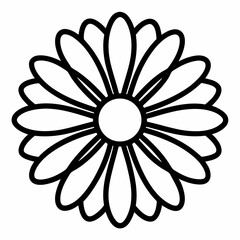 white flower isolated on black