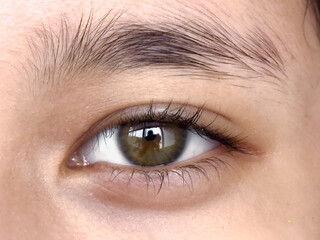 Close-up macro of a woman's beautiful brown eye, highlighting her iris, eyelashes, and natural skin, with a captivating look
