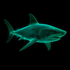 Fototapeta premium A futuristic holographic shark in a vibrant green glow, rendered with a wireframe effect against a dark background.