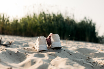 White sneakers with socks stand on sandy beach in backlight, with reed and sea in background. A...
