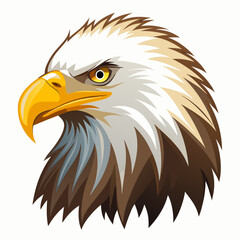 american bald eagle