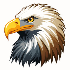 american bald eagle