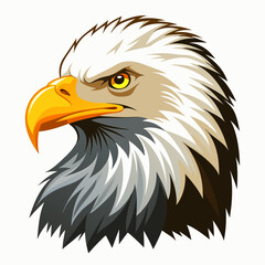 Obraz premium american bald eagle