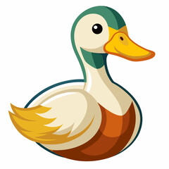 duck isolated on white
