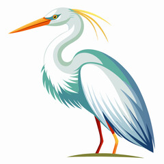 vector illustration of white stork