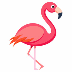 flamingo vector illustration
