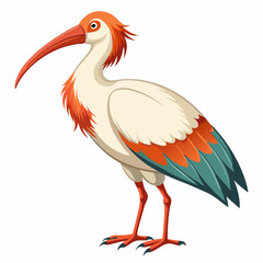 red billed stork