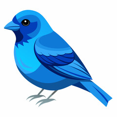 blue bird on white background